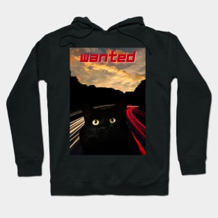 Wanted black cat Hoodie